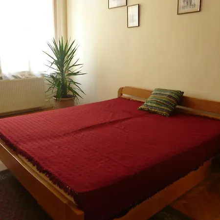 Szegedi Arany Apartman Appartamento *